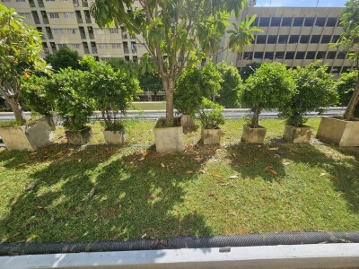 ลุมพินี คอนโดทาวน์ รามอินทรา - นวมินทร์ / Lumpini Condo Town Ramintra - Nawamin