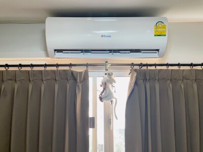 ป๊อบปูล่า คอนโด / Popular Condo-7